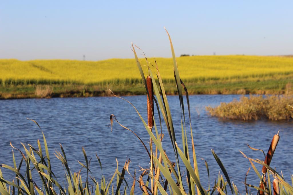 Villa Agro Nad Stawem Żukowo Esterno foto