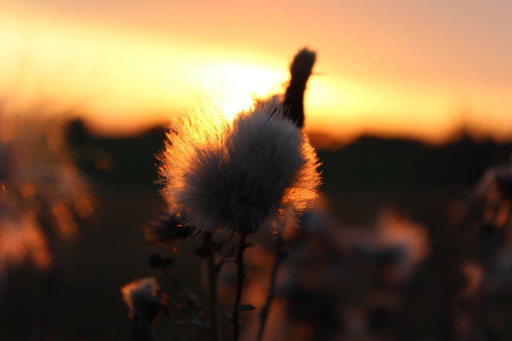 Villa Agro Nad Stawem Żukowo Esterno foto